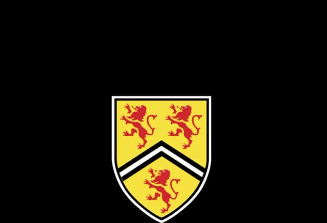 University logo 3